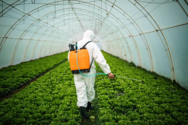 Best Pest Removal Services  in Cheswick, PA