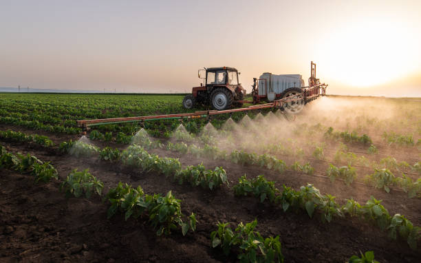 Best Commercial Pest Control Services  in Cheswick, PA