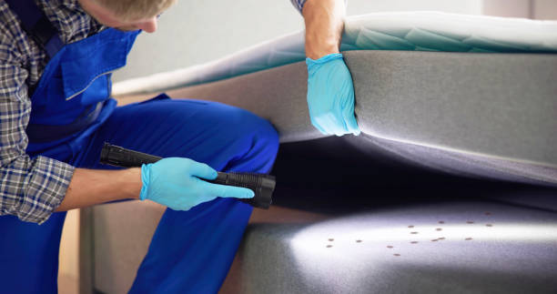 Flea Control Services in Cheswick, PA
