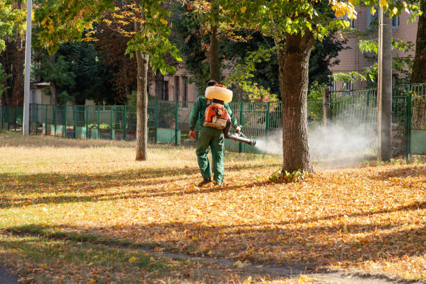 Best Mosquito Control Services  in Cheswick, PA