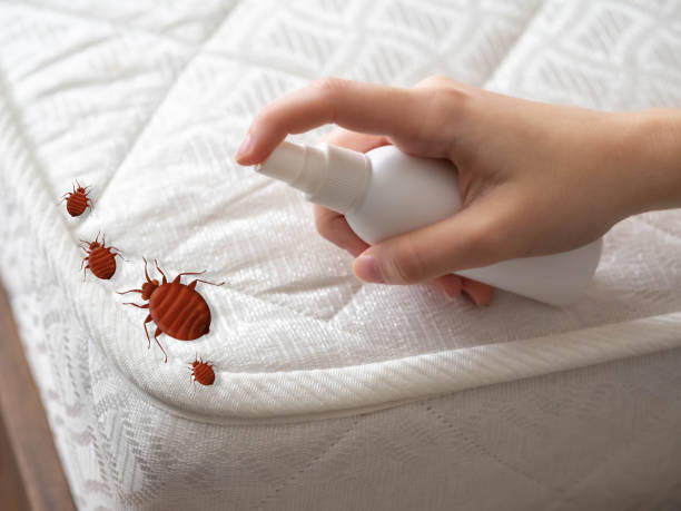 Best Bed Bug Extermination  in Cheswick, PA