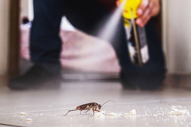 Trusted Cheswick, PA Pest Control Experts