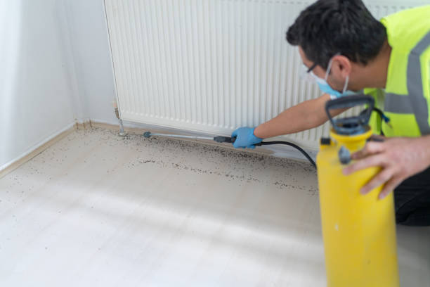 Best Wasp Removal Services  in Cheswick, PA
