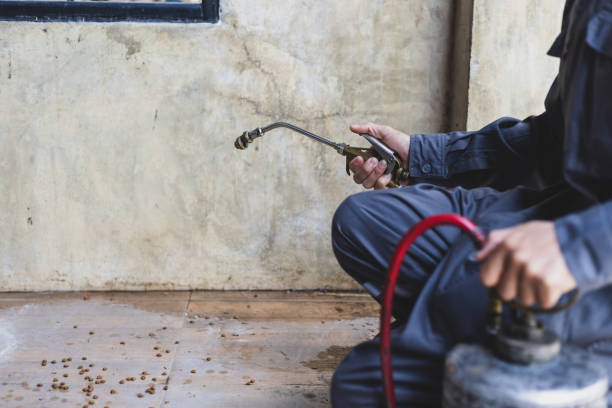 Best Residential Pest Control  in Cheswick, PA